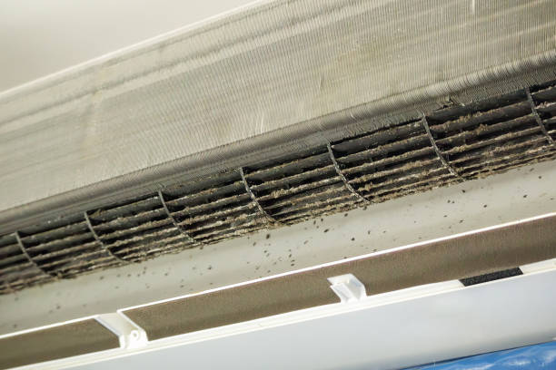 Ductwork Cleaning Services in Los Lunas, NM